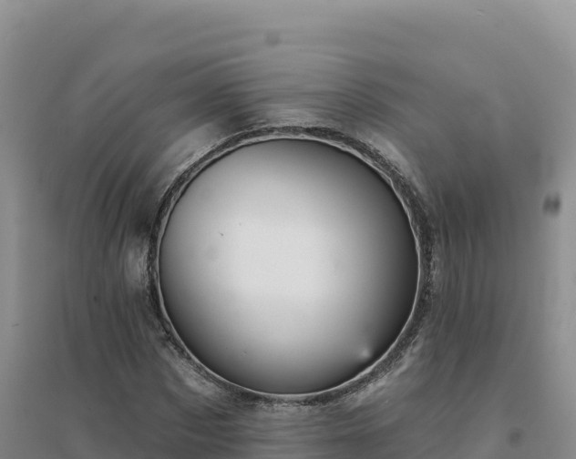 X0000094380873200711091559