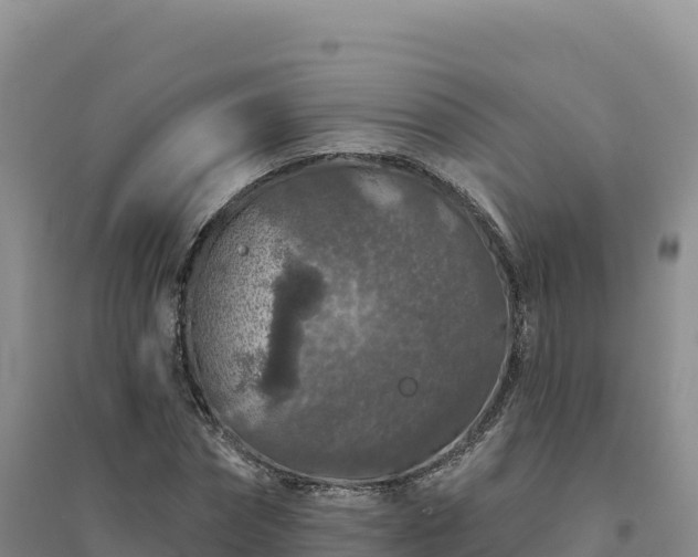X0000094380874200711091559