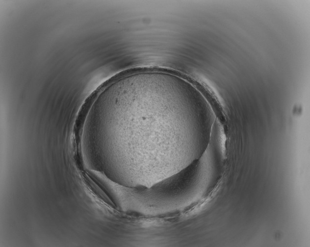 X0000094380876200711091559