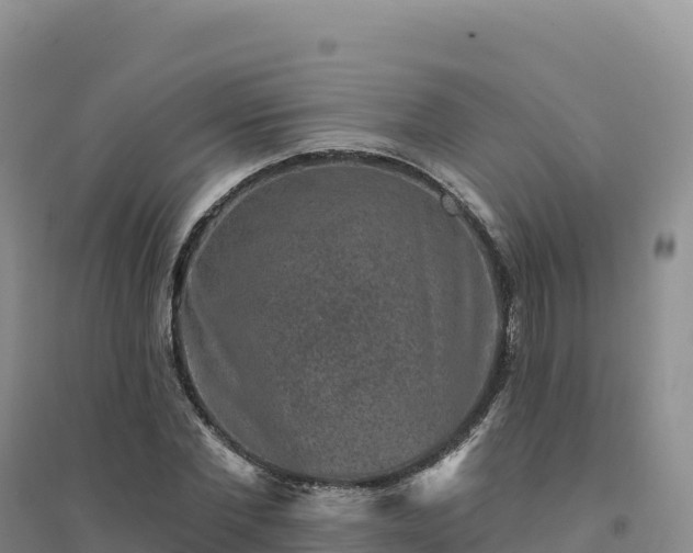 X0000094380877200711091559