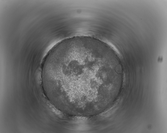 X0000094380878200711091559