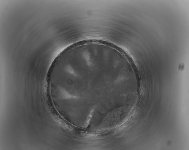 X0000094380879200711091559