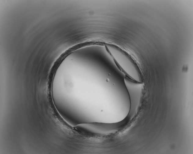 X0000094380880200711091559