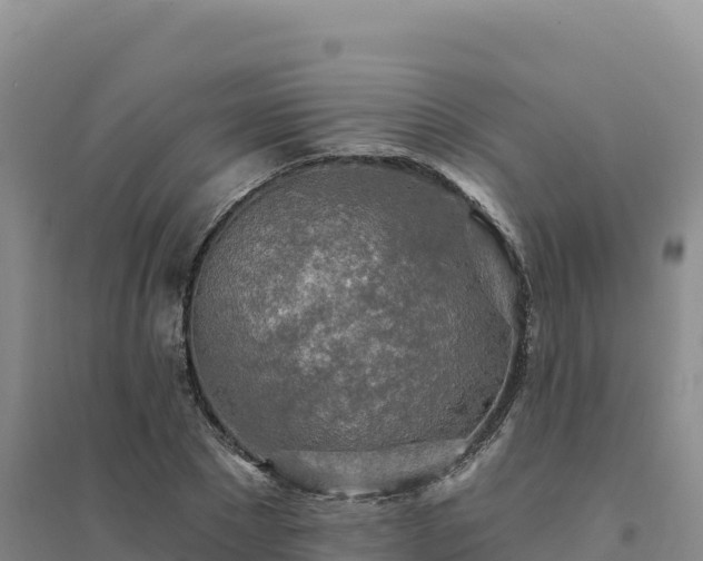 X0000094380881200711091559