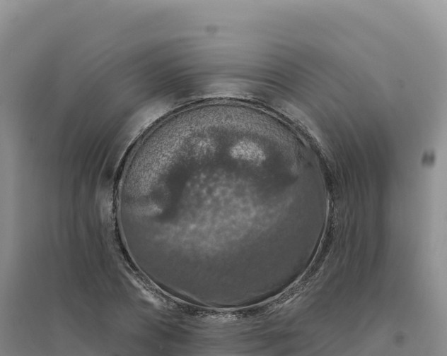 X0000094380882200711091559