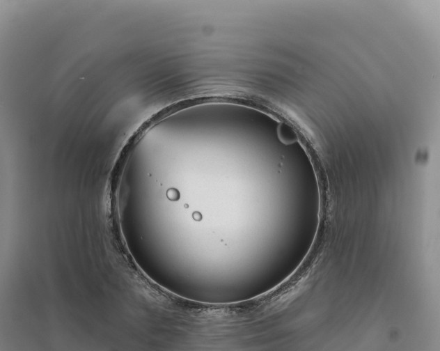 X0000094380883200711091558
