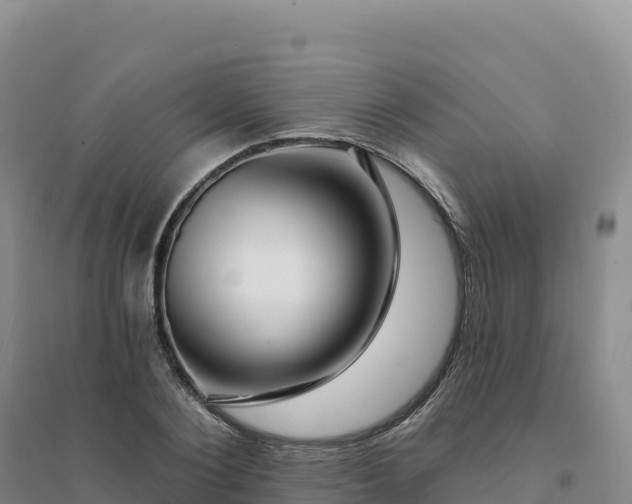 X0000094380884200711091558