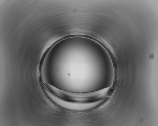 X0000094380885200711091558