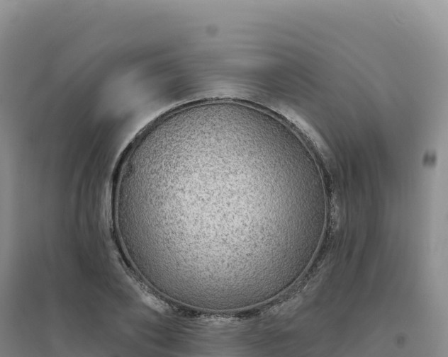 X0000094380886200711091558