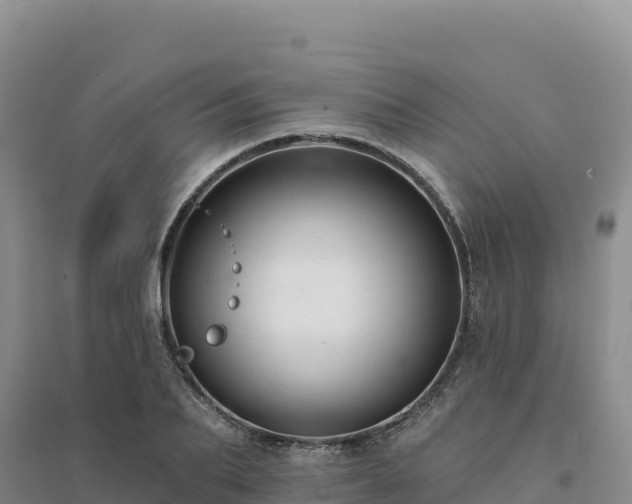 X0000094380887200711091558