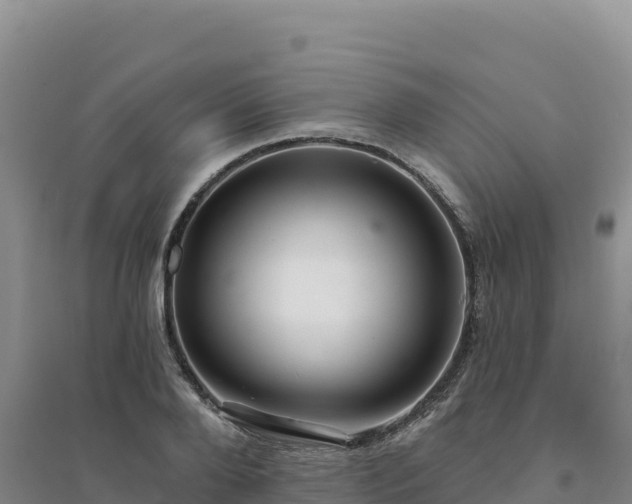 X0000094380888200711091558