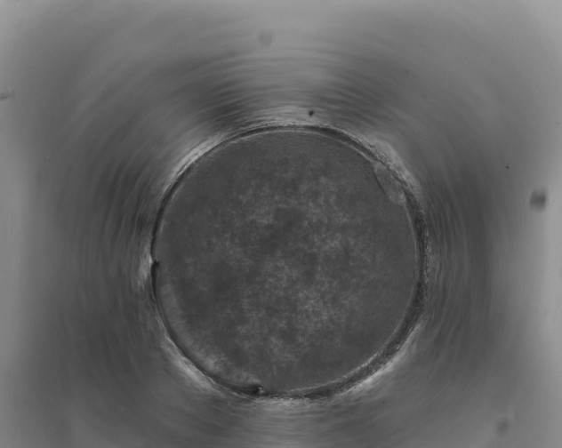 X0000094380889200711091558