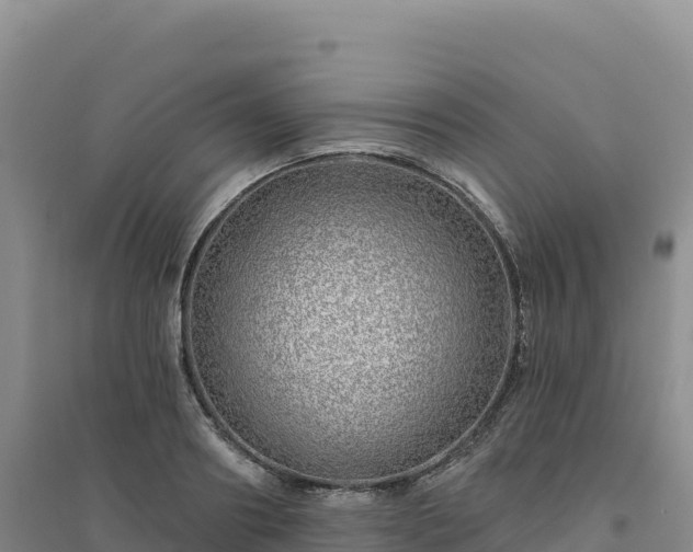 X0000094380890200711091558
