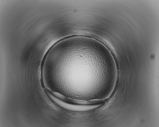 X0000094380891200711091558