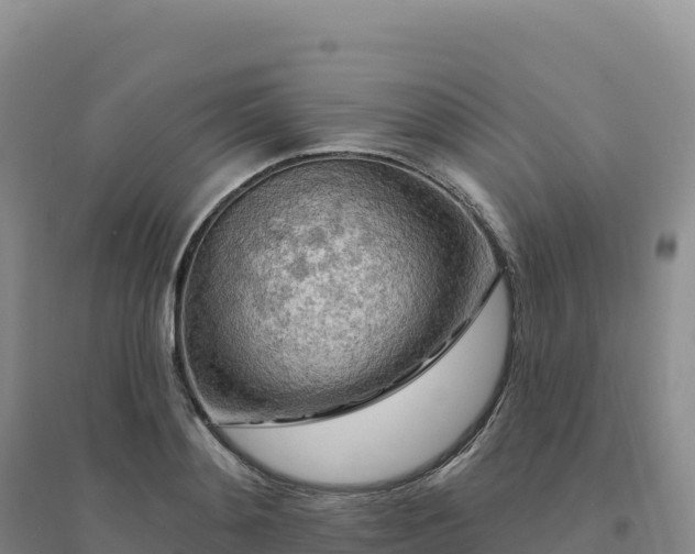 X0000094380892200711091558