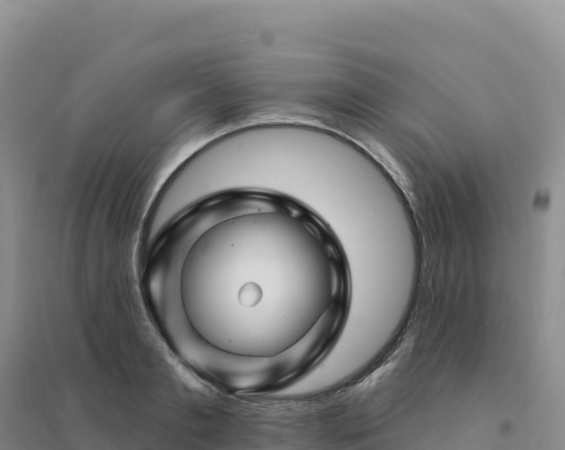 X0000094380893200711091558