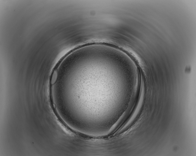 X0000094380894200711091558
