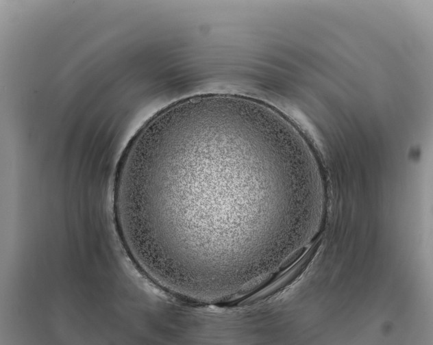 X0000094380896200711091558