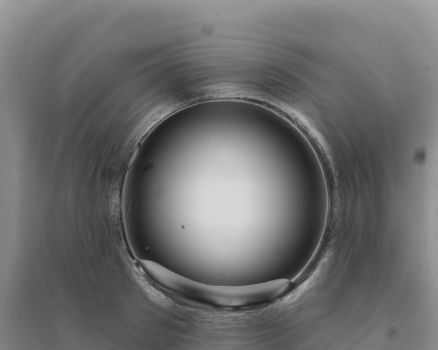 X0000094380897200711091558