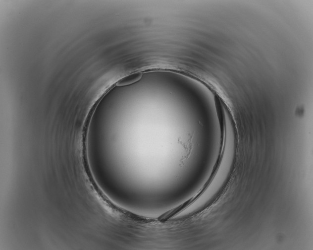 X0000094380898200711091558