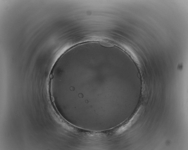 X0000094380899200711091558