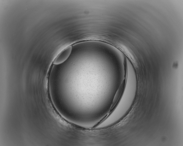 X0000094380900200711091558