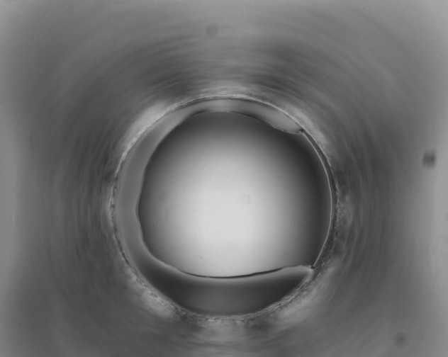 X0000094380901200711091558