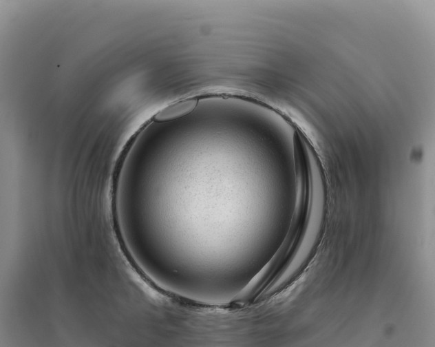 X0000094380902200711091558