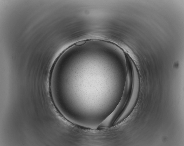 X0000094380904200711091558