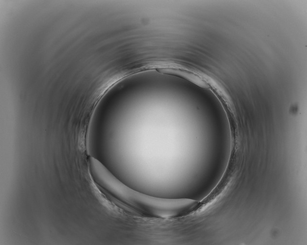 X0000094380905200711091558