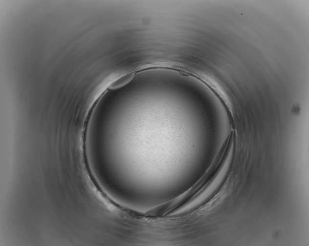 X0000094380906200711091558