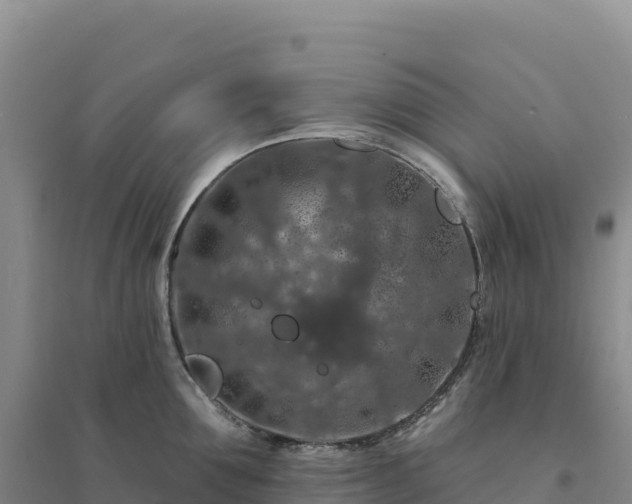X0000094380907200711091558