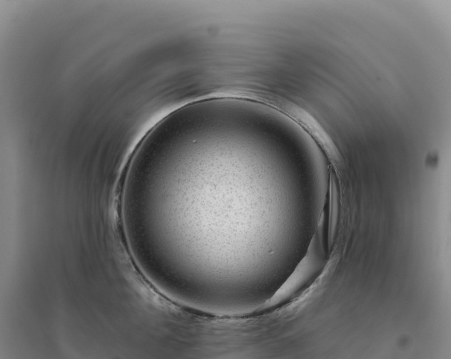 X0000094380908200711091558