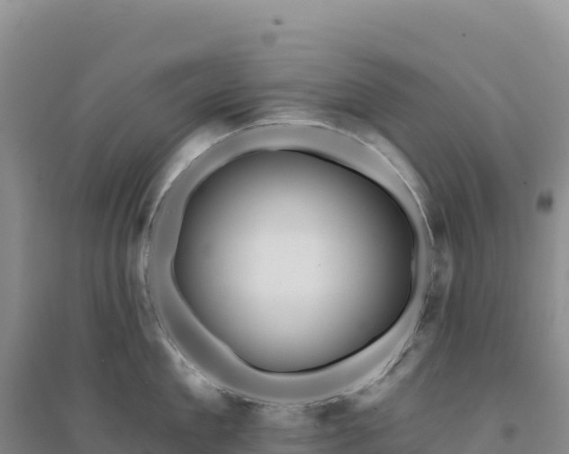 X0000094380909200711091558