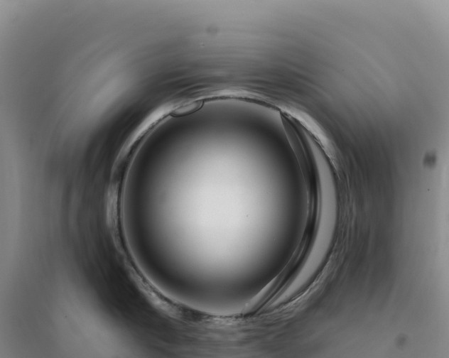 X0000094380910200711091558