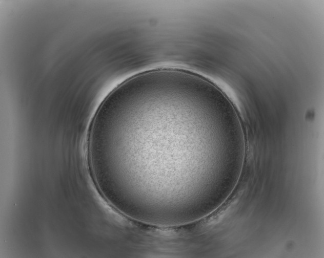 X0000094380911200711091558