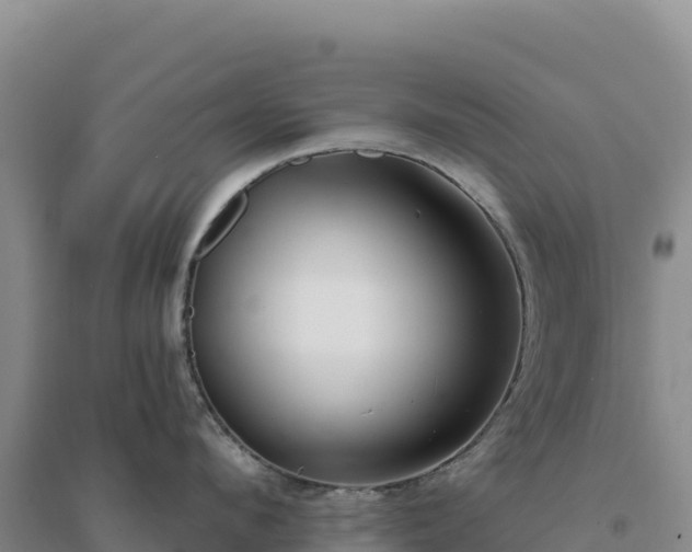 X0000094380912200711091558