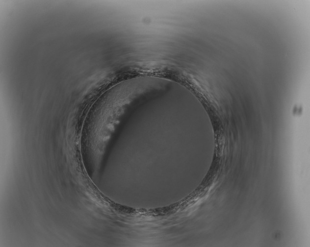 X0000094380913200711091557
