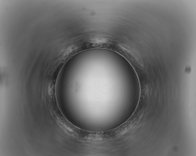 X0000094380914200711091557