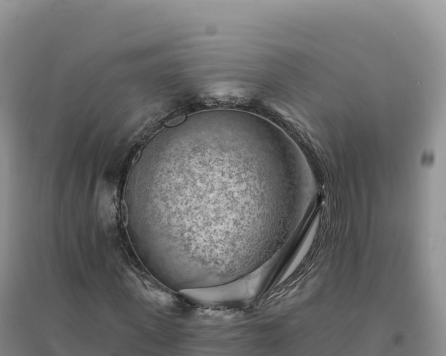 X0000094380915200711091557