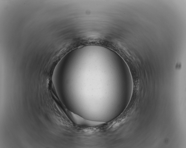 X0000094380916200711091557