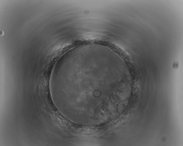 X0000094380917200711091557