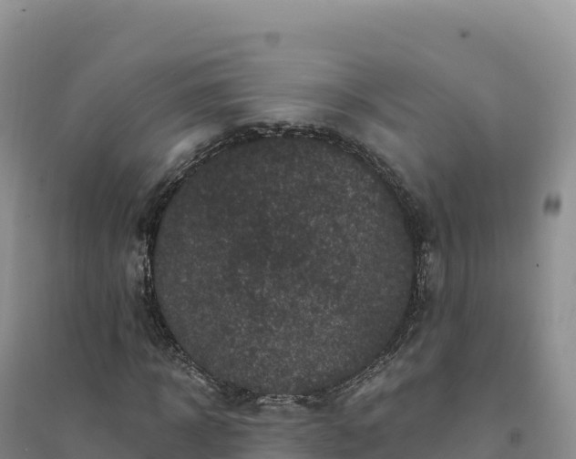 X0000094380918200711091557