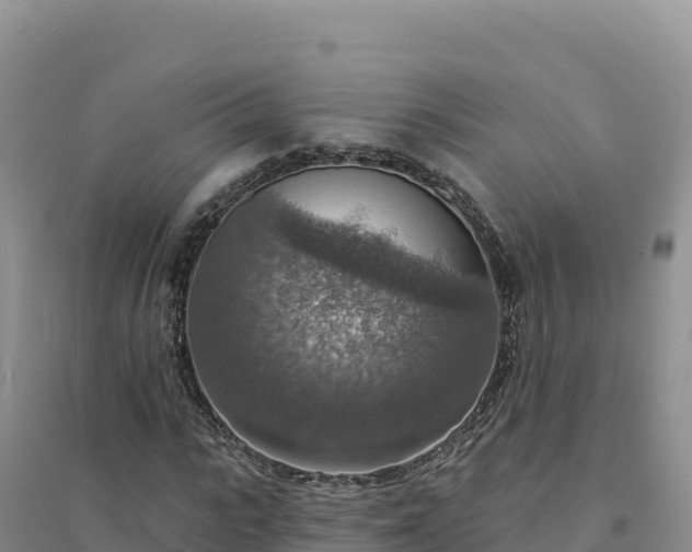 X0000094380919200711091558