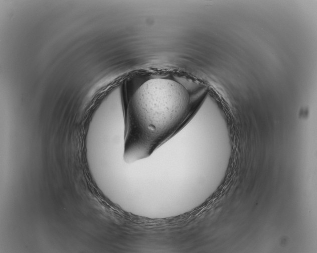 X0000094380920200711091558