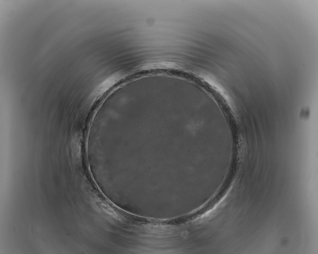 X0000094380921200711091558