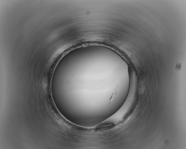 X0000094380922200711091558