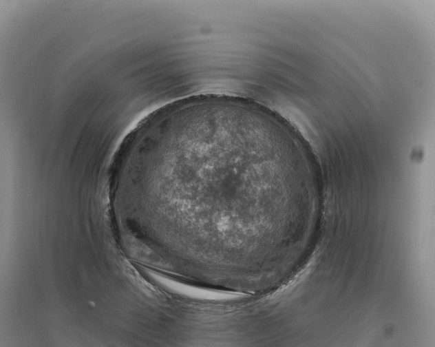 X0000094380923200711091558