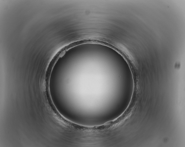 X0000094380924200711091558