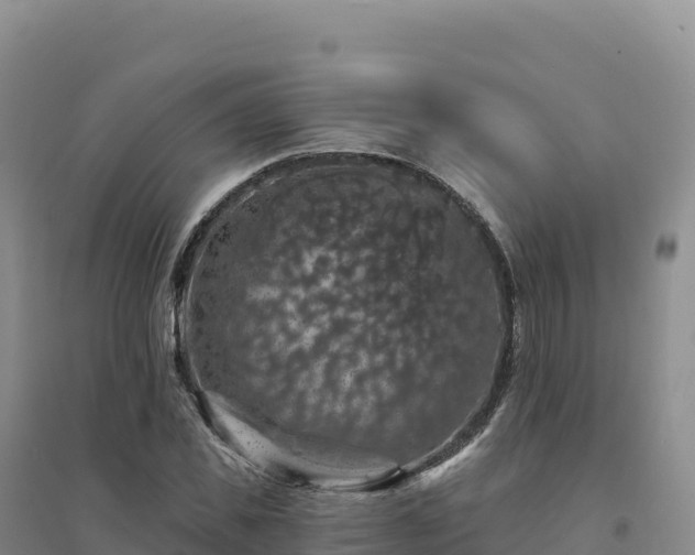 X0000094380925200711091558